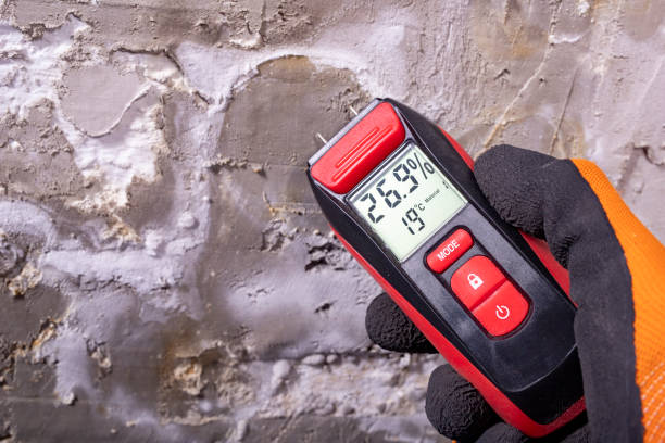 Professional Mold Remediation in Albion, NY