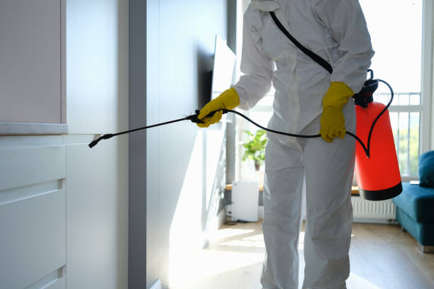 Best Mold Testing and Inspection Services in Albion, NY